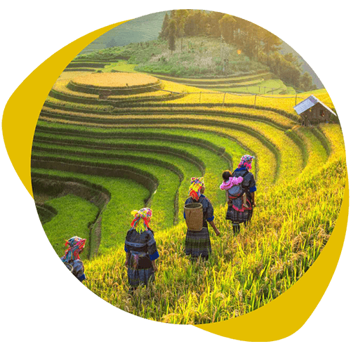 Vietnam con Sapa y Camboya